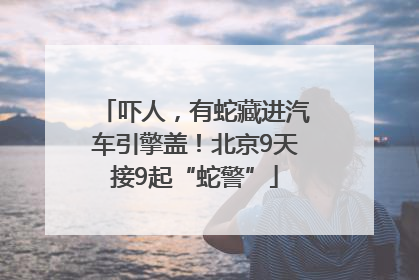 吓人，有蛇藏进汽车引擎盖！北京9天接9起“蛇警”