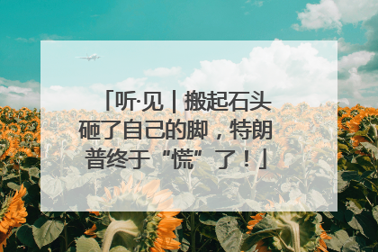 听·见｜搬起石头砸了自己的脚，特朗普终于“慌”了！