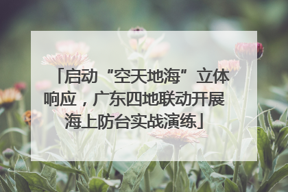 启动“空天地海”立体响应，广东四地联动开展海上防台实战演练