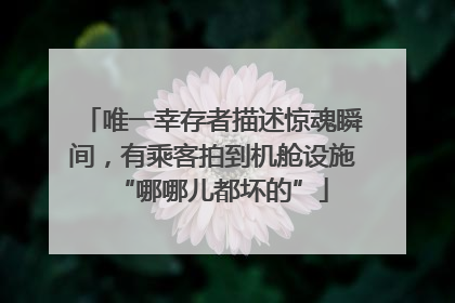 唯一幸存者描述惊魂瞬间，有乘客拍到机舱设施“哪哪儿都坏的”