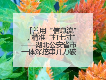 善用“信息流”，精准“打七寸”——湖北公安省市一体深挖串并力破民生案