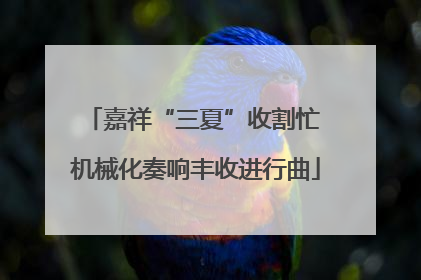 嘉祥“三夏”收割忙 机械化奏响丰收进行曲
