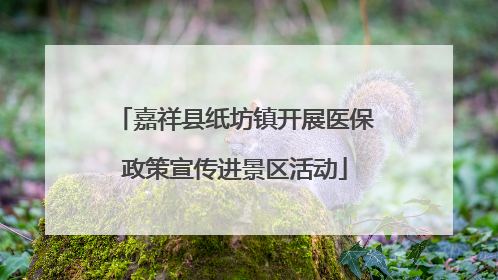 嘉祥县纸坊镇开展医保政策宣传进景区活动