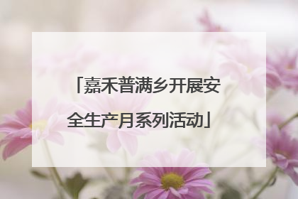 嘉禾普满乡开展安全生产月系列活动