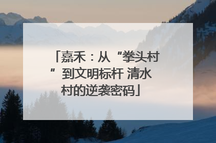 嘉禾：从“拳头村”到文明标杆 清水村的逆袭密码