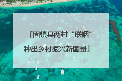 固镇县两村“联姻”种出乡村振兴新图景