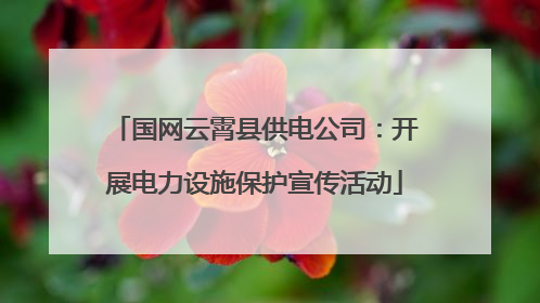 国网云霄县供电公司：开展电力设施保护宣传活动