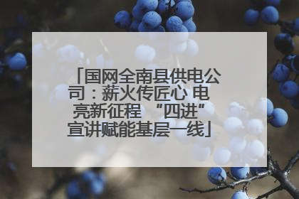 国网全南县供电公司：薪火传匠心 电亮新征程 “四进”宣讲赋能基层一线