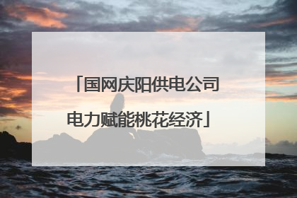 国网庆阳供电公司电力赋能桃花经济
