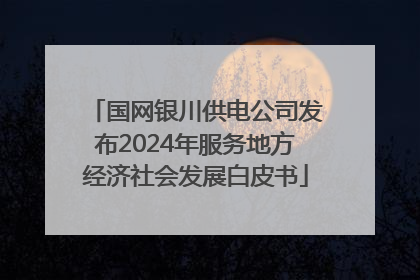 国网银川供电公司发布2024年服务地方经济社会发展白皮书