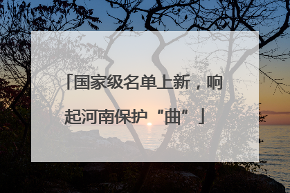 国家级名单上新，响起河南保护“曲”