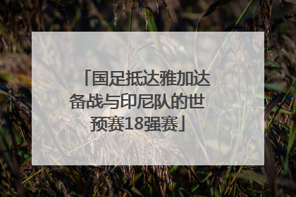 国足抵达雅加达备战与印尼队的世预赛18强赛