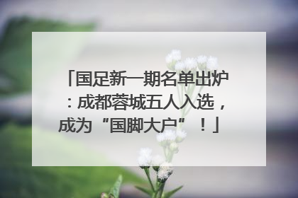 国足新一期名单出炉：成都蓉城五人入选，成为“国脚大户”！