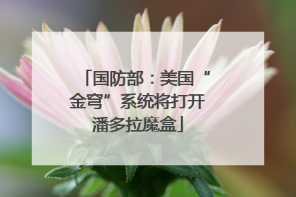 国防部：美国“金穹”系统将打开潘多拉魔盒