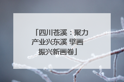 四川苍溪：聚力产业兴东溪 擘画振兴新画卷