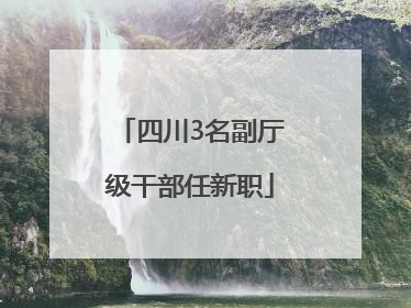 四川3名副厅级干部任新职
