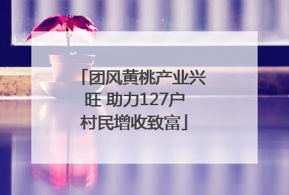 团风黄桃产业兴旺 助力127户村民增收致富