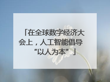 在全球数字经济大会上，人工智能倡导“以人为本”