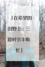 在希望的田野上：三夏时节丰收忙