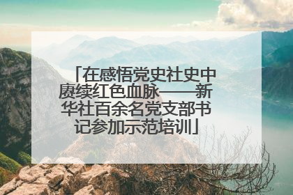 在感悟党史社史中赓续红色血脉——新华社百余名党支部书记参加示范培训