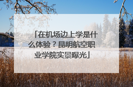 在机场边上学是什么体验？昆明航空职业学院实景曝光