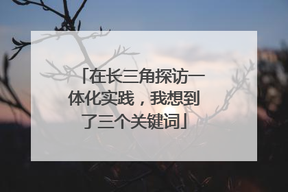 在长三角探访一体化实践，我想到了三个关键词