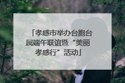 孝感市举办台胞台属端午联谊暨“美丽孝感行”活动