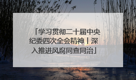 学习贯彻二十届中央纪委四次全会精神丨深入推进风腐同查同治