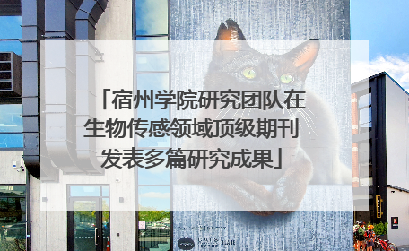 宿州学院研究团队在生物传感领域顶级期刊发表多篇研究成果