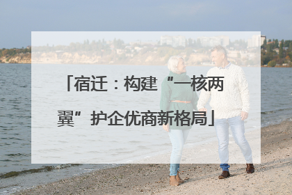 宿迁：构建“一核两翼”护企优商新格局