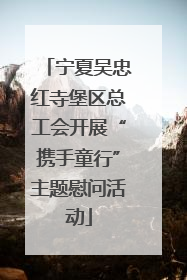 宁夏吴忠红寺堡区总工会开展“携手童行”主题慰问活动
