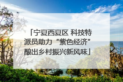 宁夏西夏区 科技特派员助力“紫色经济”酿出乡村振兴新风味