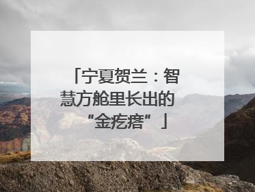 宁夏贺兰：智慧方舱里长出的“金疙瘩”