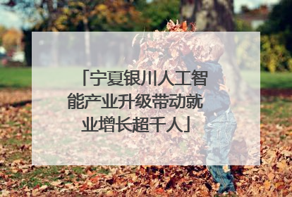 宁夏银川人工智能产业升级带动就业增长超千人