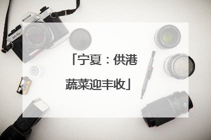 宁夏：供港蔬菜迎丰收