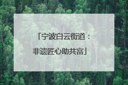 宁波白云街道：非遗匠心助共富