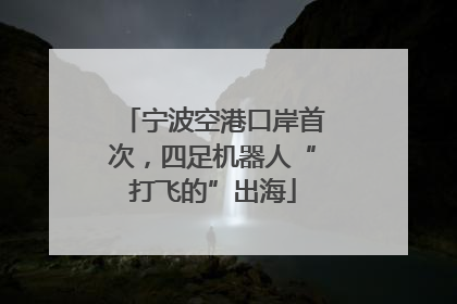 宁波空港口岸首次，四足机器人“打飞的”出海