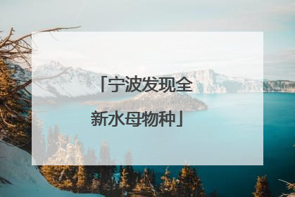 宁波发现全新水母物种