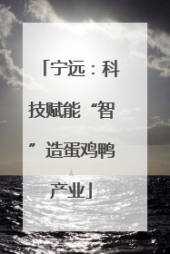 宁远：科技赋能“智”造蛋鸡鸭产业