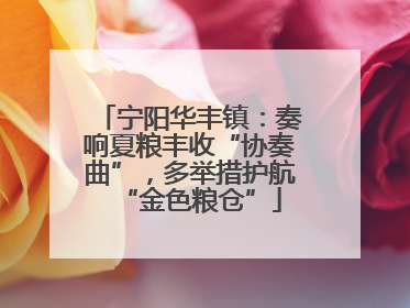 宁阳华丰镇：奏响夏粮丰收“协奏曲”，多举措护航“金色粮仓”