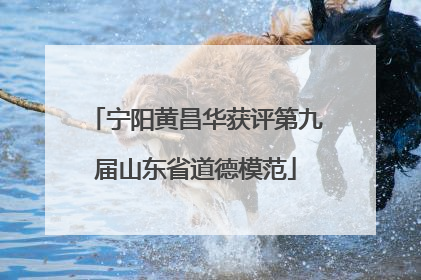 宁阳黄昌华获评第九届山东省道德模范