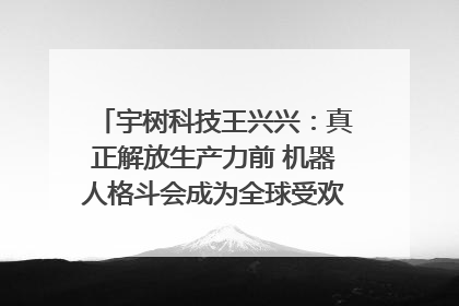 宇树科技王兴兴：真正解放生产力前 机器人格斗会成为全球受欢迎的赛事｜科技观察