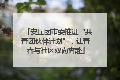 安丘团市委推进“共青团伙伴计划”，让青春与社区双向奔赴