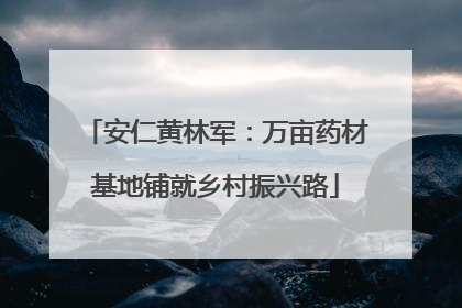 安仁黄林军：万亩药材基地铺就乡村振兴路