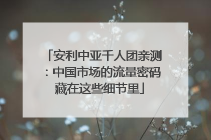 安利中亚千人团亲测：中国市场的流量密码 藏在这些细节里