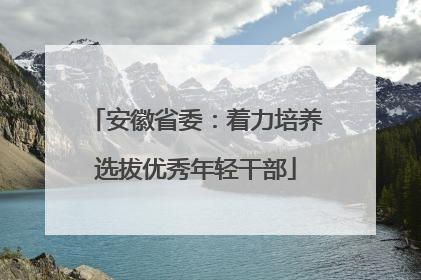 安徽省委：着力培养选拔优秀年轻干部