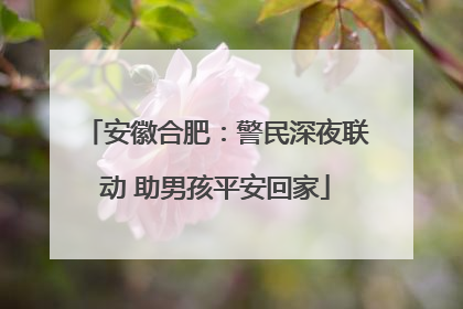 安徽合肥：警民深夜联动 助男孩平安回家