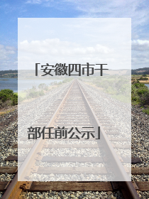 安徽四市干部任前公示