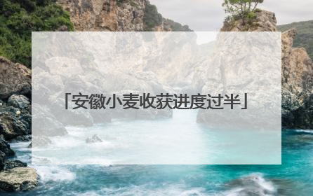 安徽小麦收获进度过半