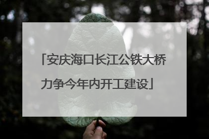 安庆海口长江公铁大桥力争今年内开工建设